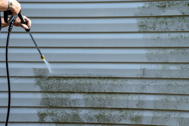 Best Same-Day Junk Removal Services  in Riddle, OR